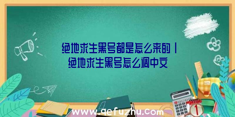 「绝地求生黑号都是怎么来的」|绝地求生黑号怎么调中文